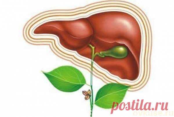 Как лечить печень народными средствами