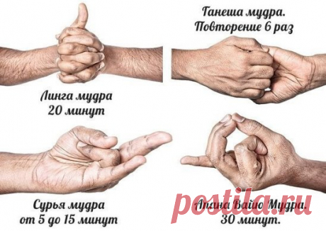 Мудры для здорового сердца.1. Линга Мудра. Практикуйте ее натощак не менее 20 минут. Сядьте в позу лотосы, вытяните руки вперед, сцепите пальцы в замок. Поднимите большой палец левой руки к потолку. Используя большой и указательный пальцы правой руки оплетите большой палец левой руки.Вдохните и выдохните.2. Ганеша Мудра. Сядьте в падмасану. Вытяните руки и положите на бедра. Поднимите обе руки и держите их на уровне груди у сердца.Ладонь левой руки должна быть обращена на