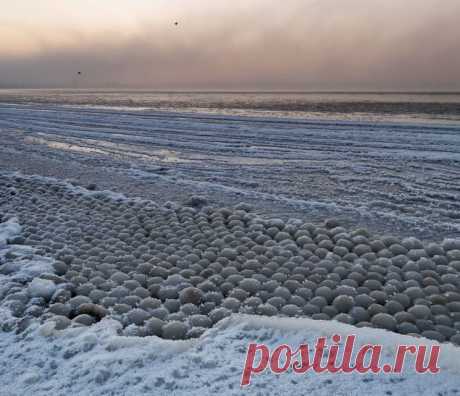 На Финском заливе побережье замерзло в форме ледовых шаров // KP.RU