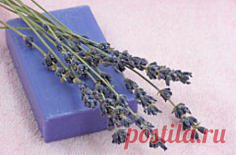 Как сделать мыло своими руками за 10 шагов?... / Handmade / как сделать мыло / Pinme.ru / Карина Фролова