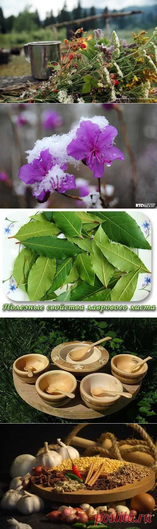 (65) Одноклассники