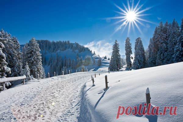 13 февраля — Никита – пожарник | Астрору