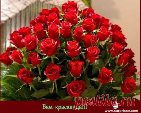 Сообщения