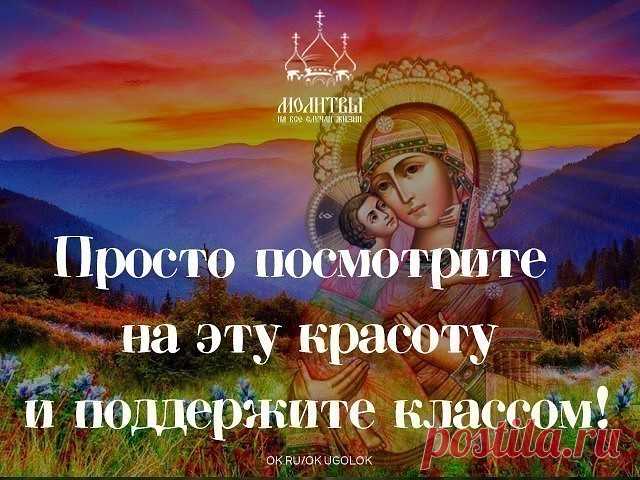 (29) Одноклассники