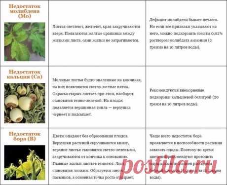 на всякий случай