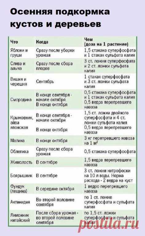 В копилочку дачных полезностей