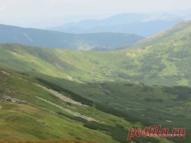 Чорногора ..опису не піддається.
