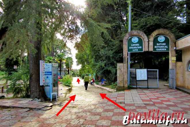 Скрытый пляж ботанического сада в Батуми