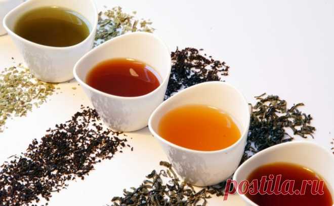 Заметка о чае зеленом и черном: Какой чай повышает давление, а какой понижает
