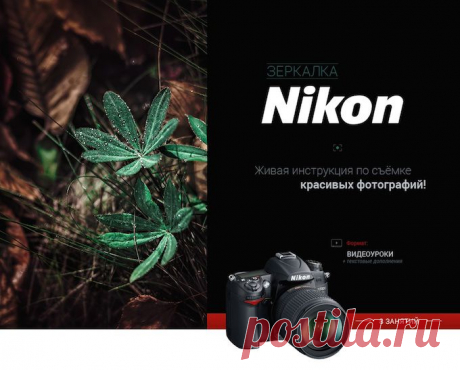 Секрет ярких и сочных фотографий