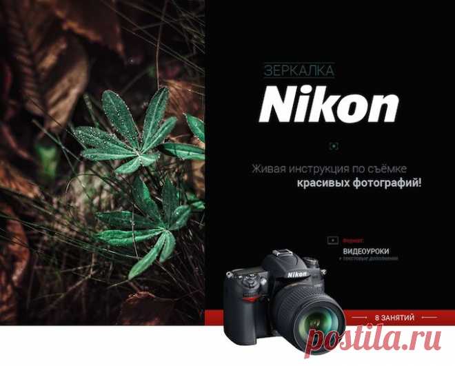 Секрет ярких и сочных фотографий