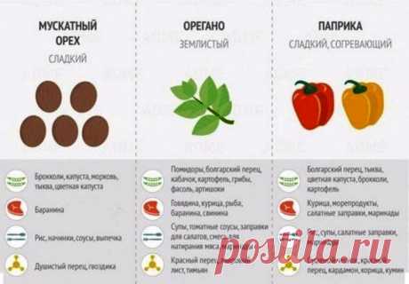 Шпаргалки - какие специи сочетать с какими продуктами — Кулинарная книга - рецепты с фото