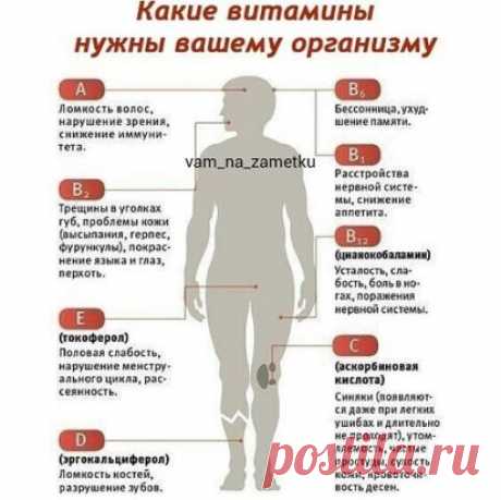 Организм может подсказать, чего именно ему не хватает