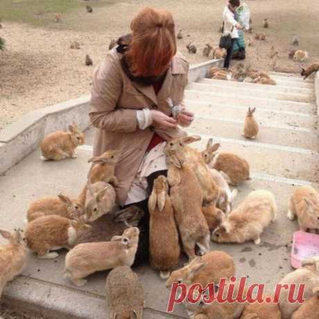 Везде есть свои "голуби"