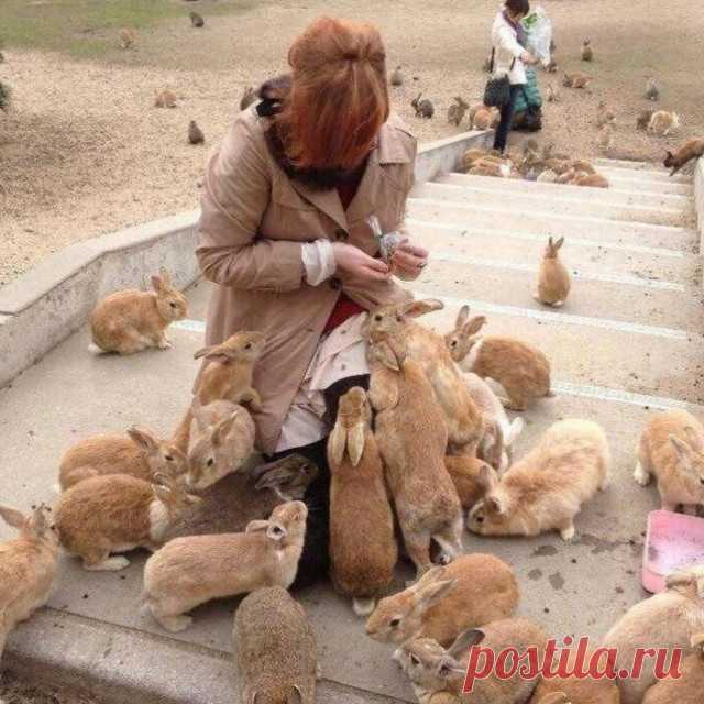 Везде есть свои 