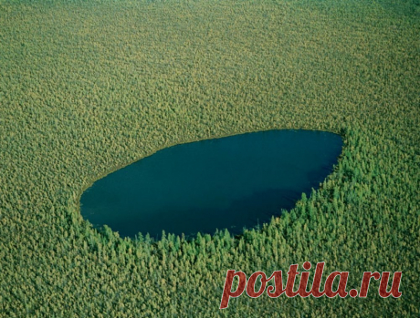 Лесное озеро, место не тронутое человеком