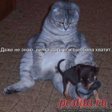 .