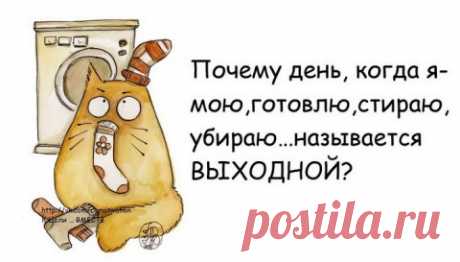 Кто ответит: почему?!
