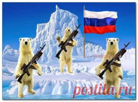 АРКТИКА-СЕВЕР-АНТАРКТИДА