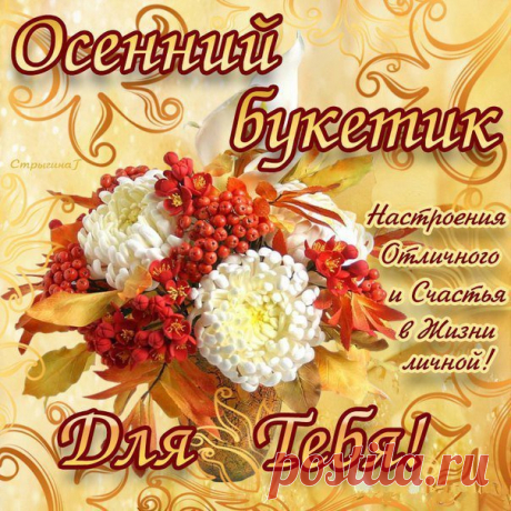 Классная идея омлета