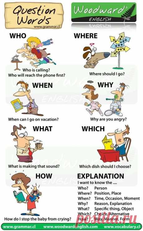 Wh-questions worksheets
Виды вопросов с примерами
Who- кто
Where- где
When - когда
What - что
Which - какой
How - как