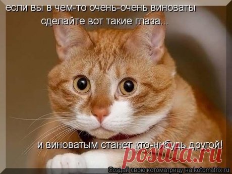 Мой Мир@Mail.Ru
