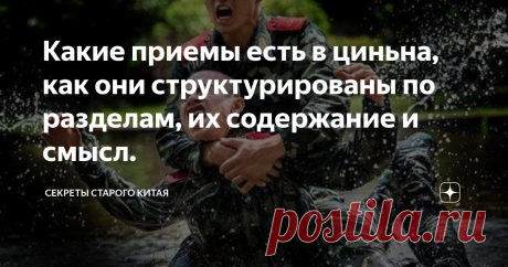 Какие приемы есть в циньна, как они структурированы по разделам, их содержание и смысл. В предыдущей статье поговорили о том, что из себя  в общих чертах представляет циньна. Теперь разберем составляющие этого искусства.  Когда Хань Цинтан и  Лю Цзиньшэн с коллегами стали создавать свою полицейскую систему, они ориентировались на крестьян, крепких и привычных к тяжелому труду, но обычно малознакомых с традиционным обучением боевым искусствам. Поэтому нужна была простая и п...