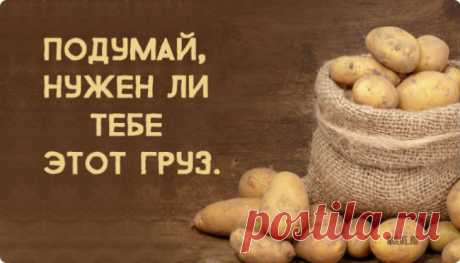 Притча об обидах. Обязательно прочтите. Не пожалеете