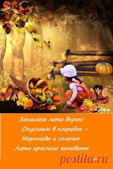 ДАРЫ ЛЕТА! | О сокровенном и прекрасном | Группы Мой Мир