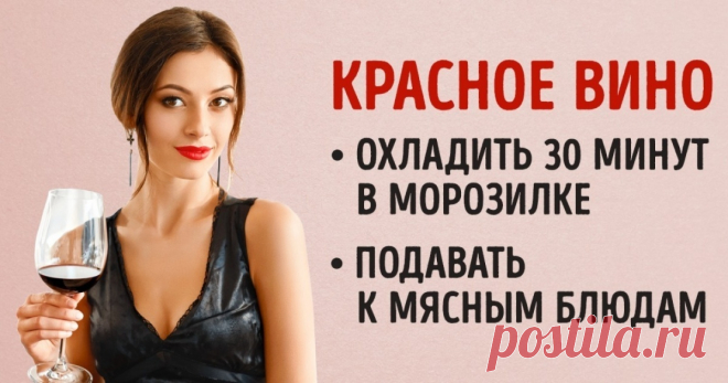 Этот гид по винам сделает из вас настоящего сомелье