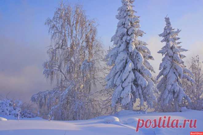 Фото: Трое на берегу.. Фотолюбитель Галина Подлопушная. Природа - Фотосайт Расфокус.ру