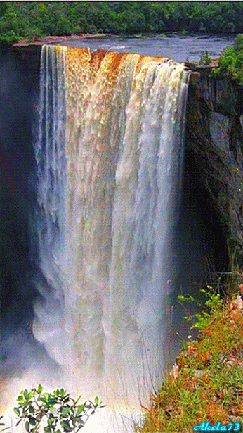 Google+
