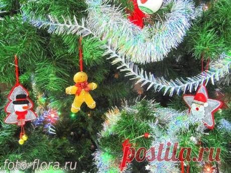Новогодний антураж: фото и поздравление - Фотозарисовки