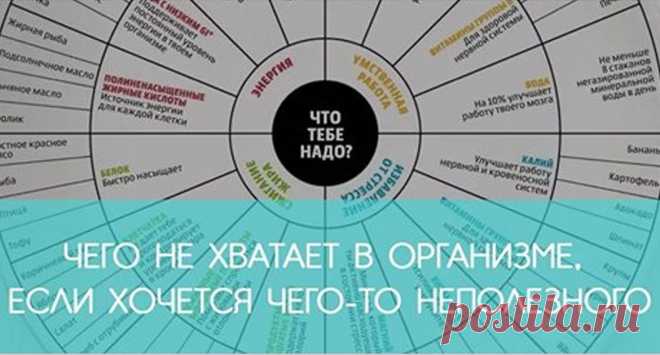 Чего не хватает в организме, если хочется чего-то вредного - KakZachem.ru
