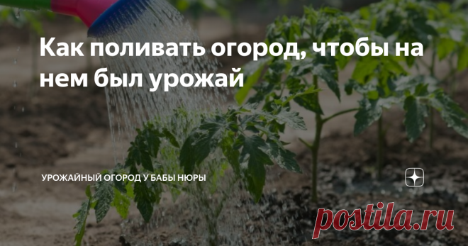 Как поливать огород, чтобы на нем был урожай Добрый день, огородники и садоводы!
Почему-то много огородников не знают, как правильно поливать огород. Но ведь полив - это первый секрет большого урожая.
Подписывайтесь на Урожайный огород! Ставьте палец вверх и обязательно оставляйте комментарии под статьей!
Во-первых, нужно понимать, что когда мы поливаем растения в огороде, грядки, то мы подкармливаем овощи, фрукты. А не просто поливаем водой