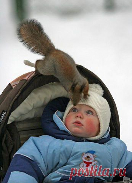 Орехи есть????...Ты че!!!!! .... У меня и зубов то нет!!!)))