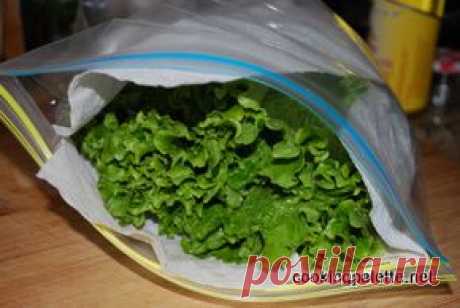 Салатные листья и зелень для салата - Cooking Palette » Cooking Palette