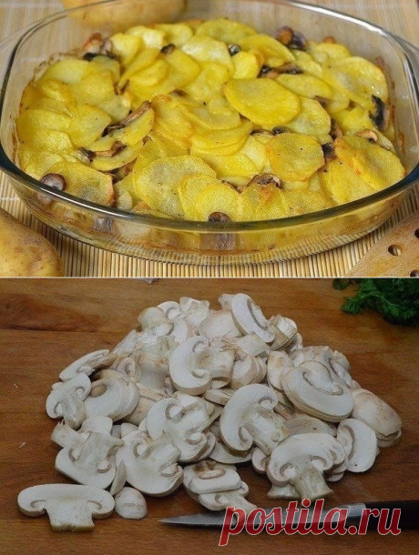 Как приготовить картошка с грибами в сметане - рецепт, ингридиенты и фотографии