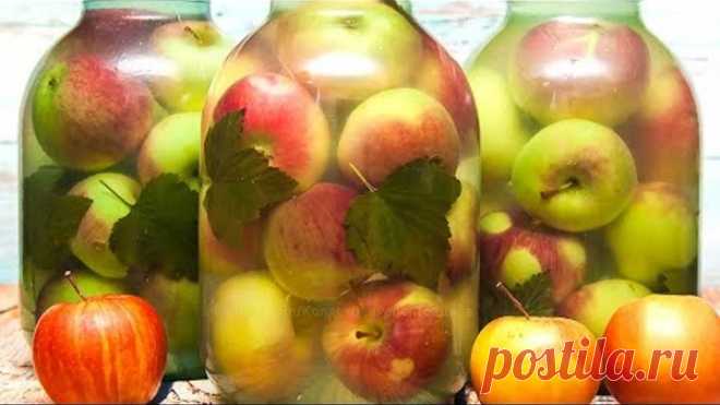 МОЧЕНЫЕ ЯБЛОКИ, простой и вкусный рецепт заготовки на зиму – Коллекция Рецептов