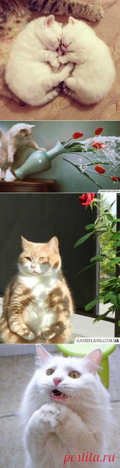 гугл
