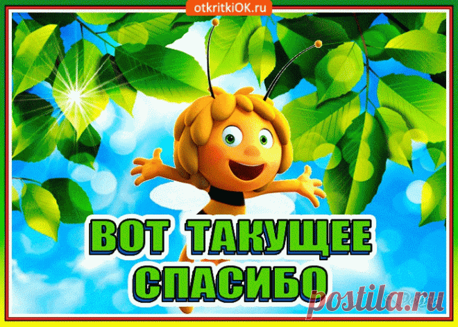 Красивые и прикольные картинки спасибо | Открытки бесплатно