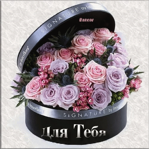 i-241236.gif (500×500)