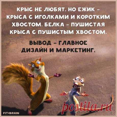 Фитнес для мозга Вот это точно! 👌 😂 ☕
