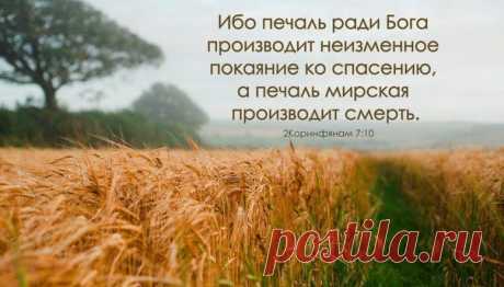 &quot;Ибо печаль ради Бога производит неизменное покаяние ко спасению&quot;. (2-е Коринфянам 7:10) 
Обличение во грехе лучше всего передано в словах: 
Грехи мои, грехи мои, Спаситель… 
Как тяжек груз их на Твоих плечах! 
Обличение во грехе - одно из самых необычных переживаний, выпадающих на долю человека.
