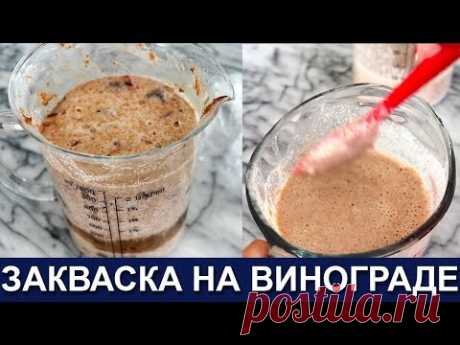 🥖🍞🥨 Закваска на винограде - Неубиваемая и стойкая - Неприхотливая и сильная - Как вывести закваску