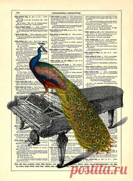 Павлины на книжных страницах