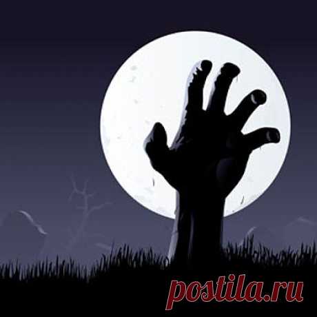 Загадки человеческой психики: Зомбированные жалости не знают | Велемудр