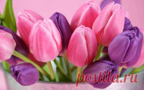 tulips_flowers_bouquet_88937_3840x2400.jpg (3840×2400)