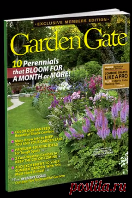 Build the perfect outdoor office | Garden Gate eNotes