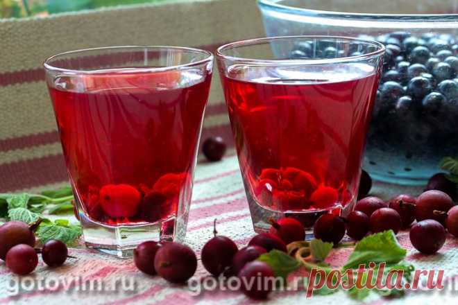 Компот из крыжовника с черной смородиной на зиму. Рецепт с фото